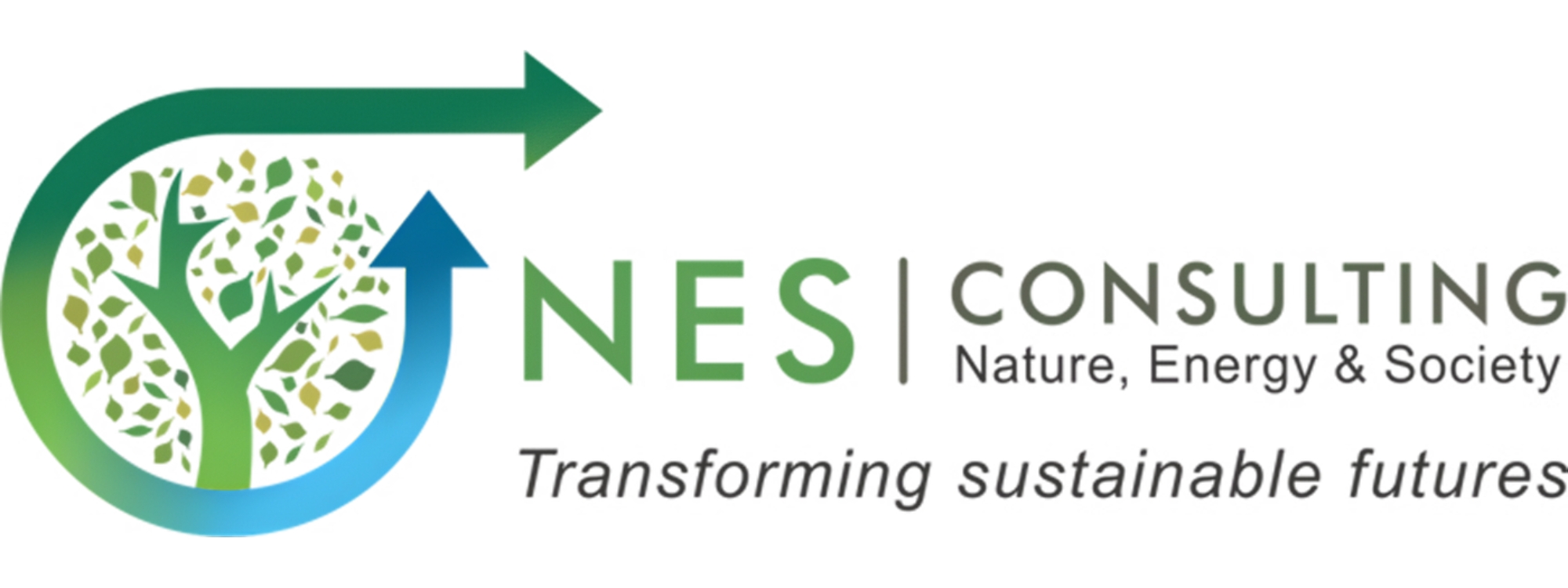 NES Consulting International Logo